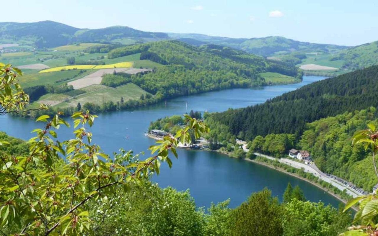 Sauerlandholiday Villa Diemelsee Buitenkant foto