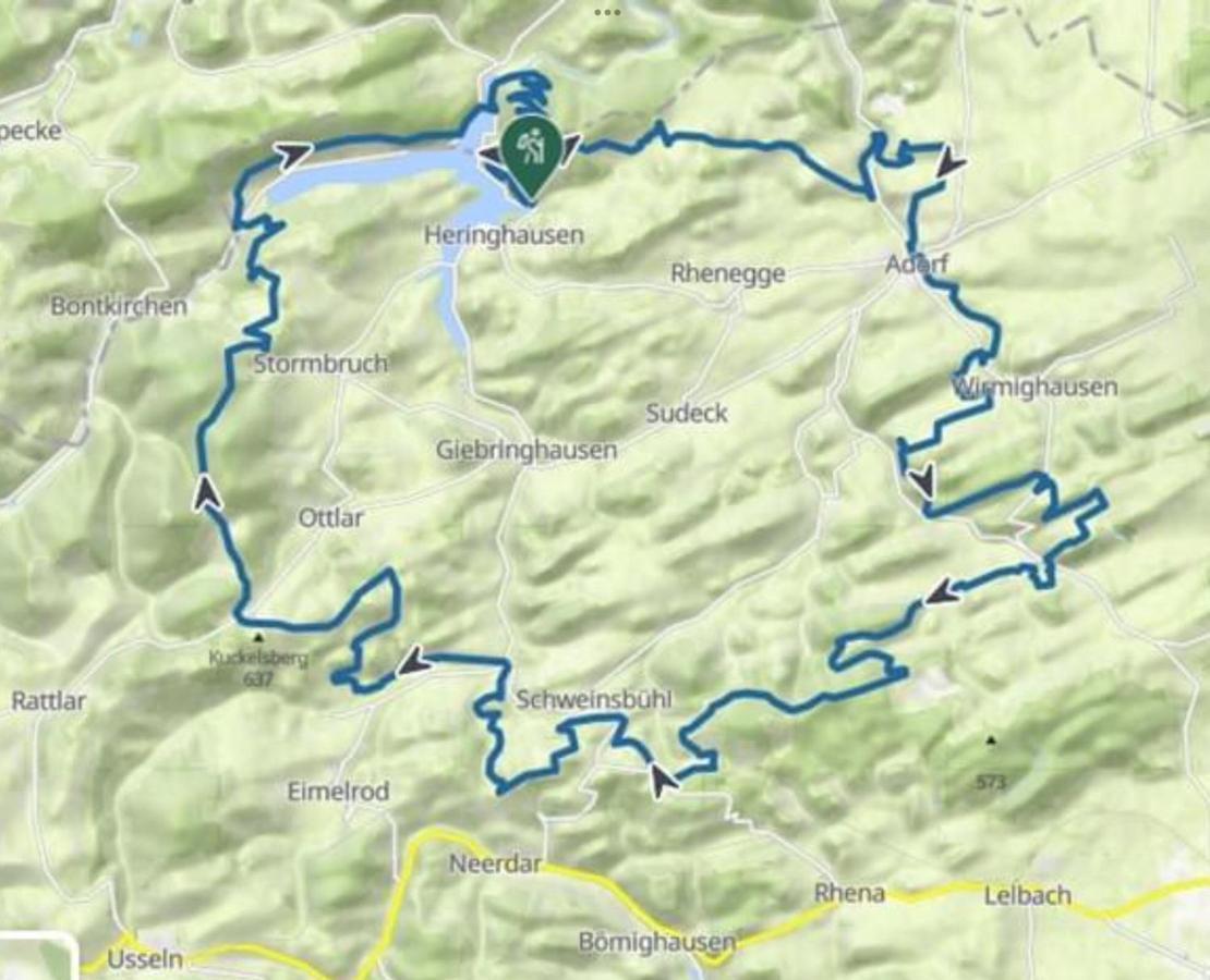 Sauerlandholiday Villa Diemelsee Buitenkant foto